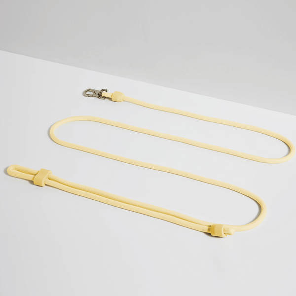 Butter hands free dog lead