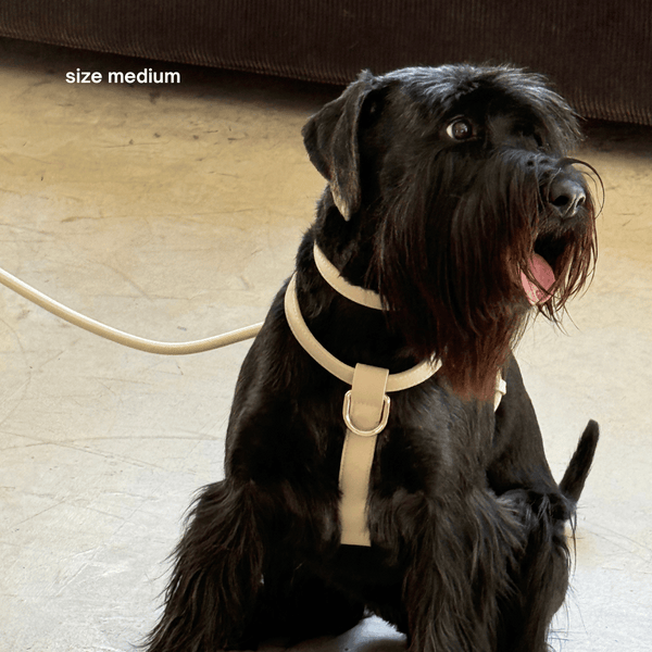 HARNESS - Taupe