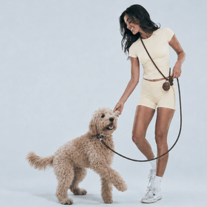Cocoa Hands Free Dog Lead