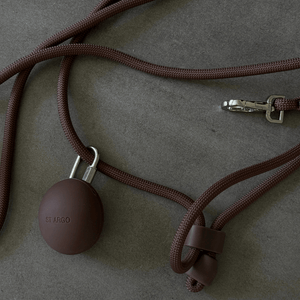 the cocoa brown dog lead and treat pouch