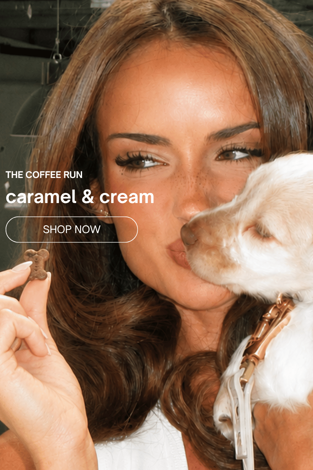 Coffee Run Dog Products Collection