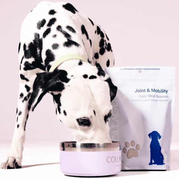 Collagenie Joint & Mobility Dog Meal Topper