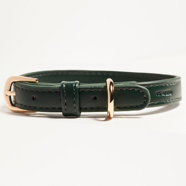 Green leather dog collar