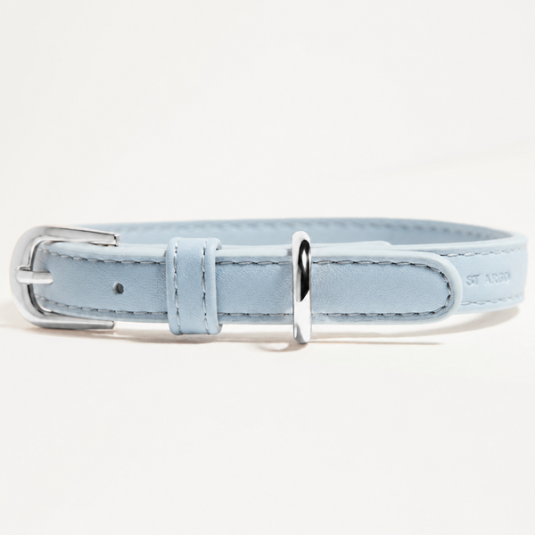 Dog Collar in Powder Blue