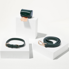 Green leather dog collar and leash set on white stands with a white background