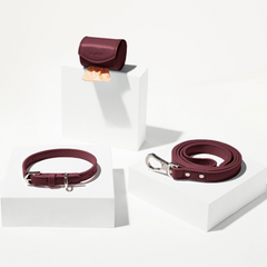 Dog collar, leash, and pouch set on a white background