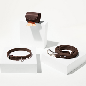 Brown leather pet collar, leash, and pouch on a white background