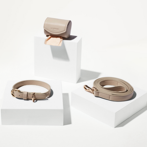 Beige dog collar walk set