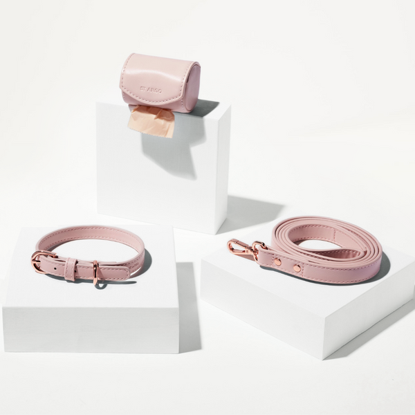 Set of pink pet accessories including a collar, leash, and pouch on a white background