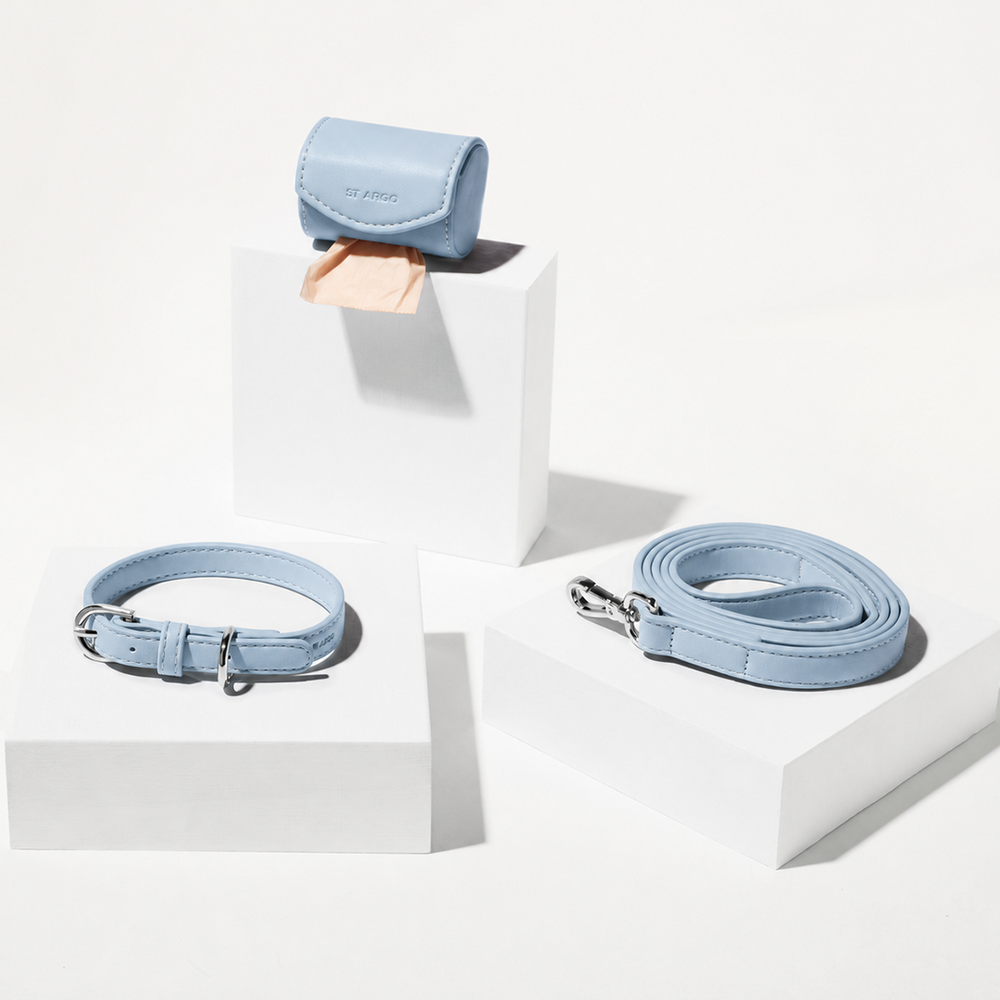 Powder Blue Dog Collar Walk Set
