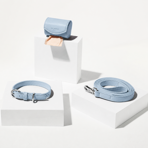 Powder Blue Dog Collar Walk Set