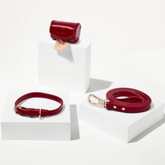 Red pet accessory set including a collar, leash, and clip on a white background