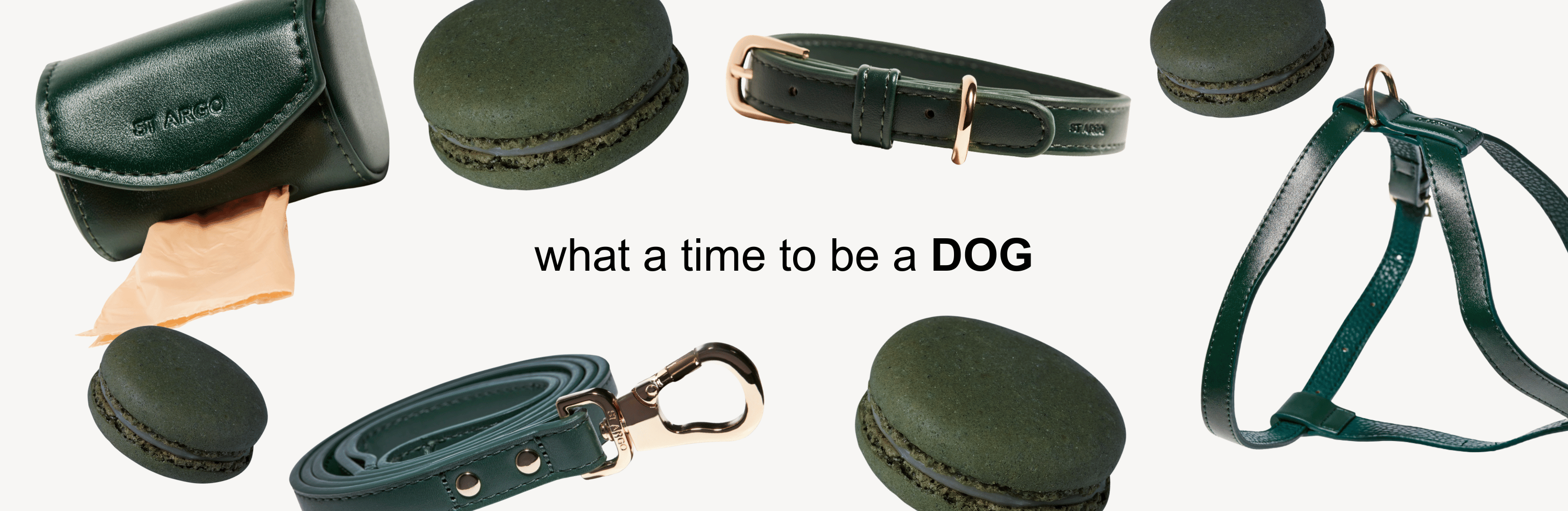 Dog Accessories in Bottle Green Collection