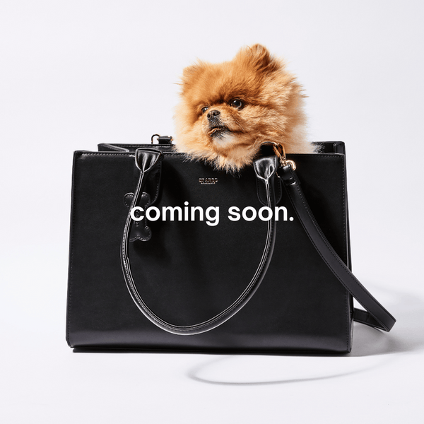 LOLA Coming Soon