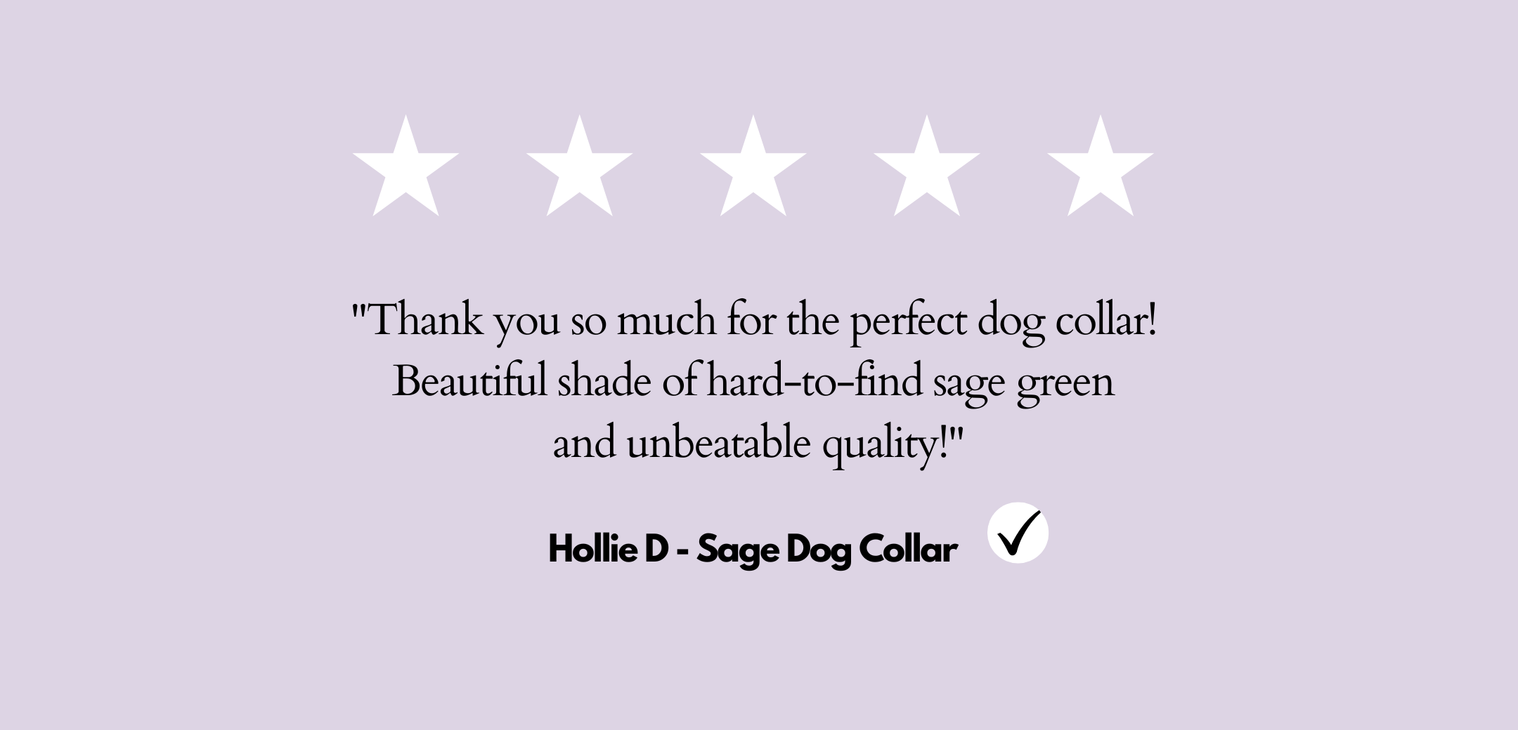 ST ARGO Dog Collar Review