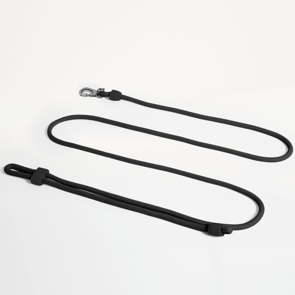 Hands Free Dog Leash in Black