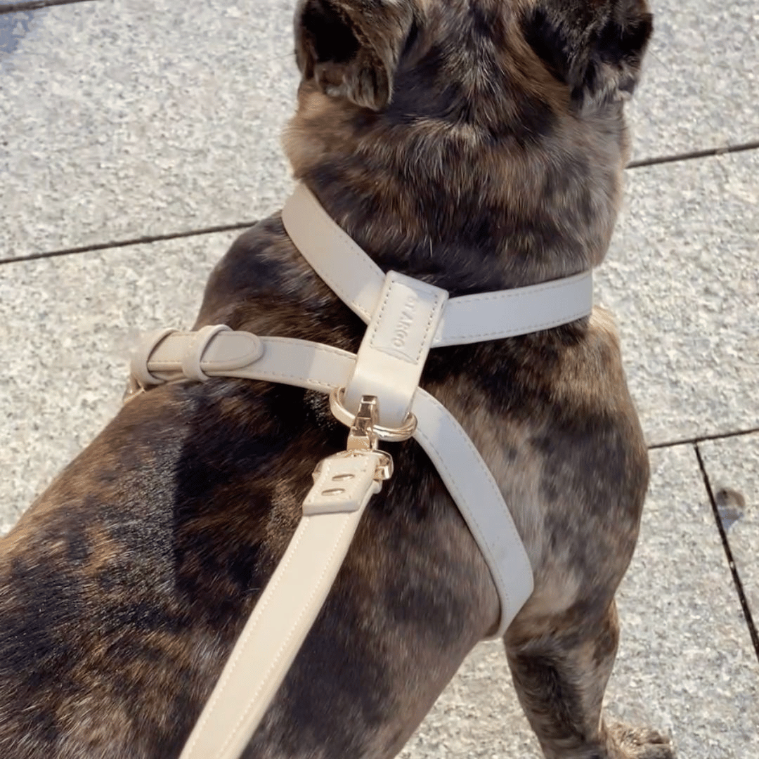 taupe dog harness