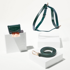 Green leather dog harness and leash set on a white background