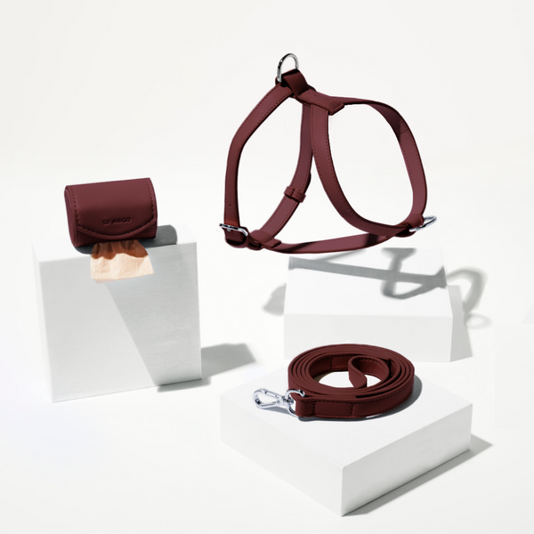 Burgundy leather dog harness and leash set on a white background