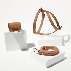 Brown leather dog harness and leash set on a white background