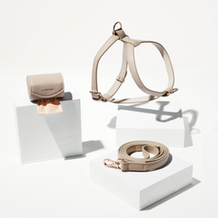 Beige leather dog harness and leash set on a white background