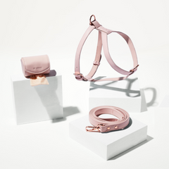 Pink leather dog harness and leash set on a white background
