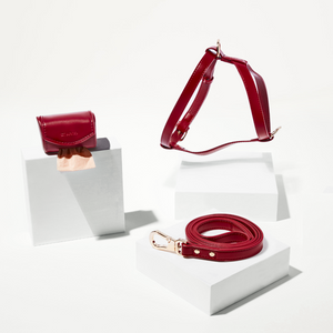 Red leather dog collar and leash set on a white background