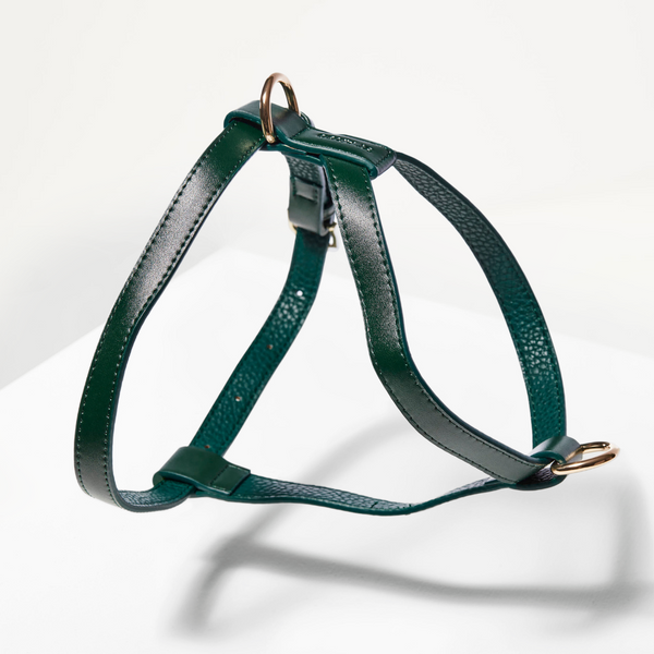 Green leather dog harness on a white background