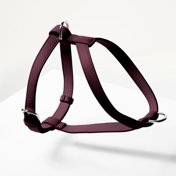 Burgundy leather dog harness on a white background