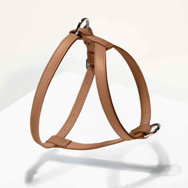 Brown dog harness on a white background