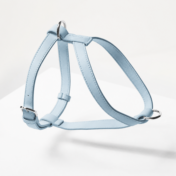 Powder Blue Dog Harness