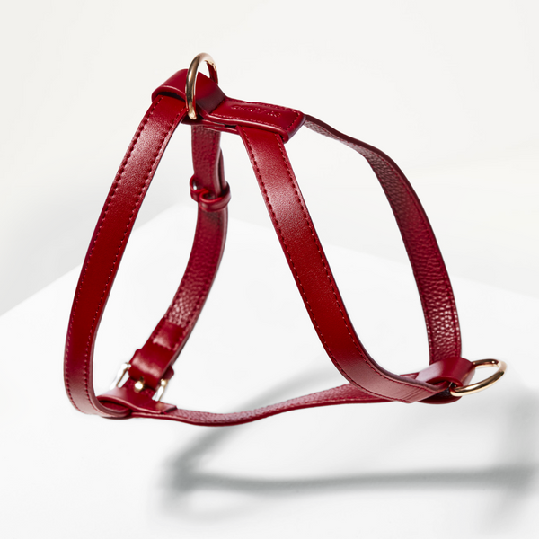 Red leather dog harness on a white background