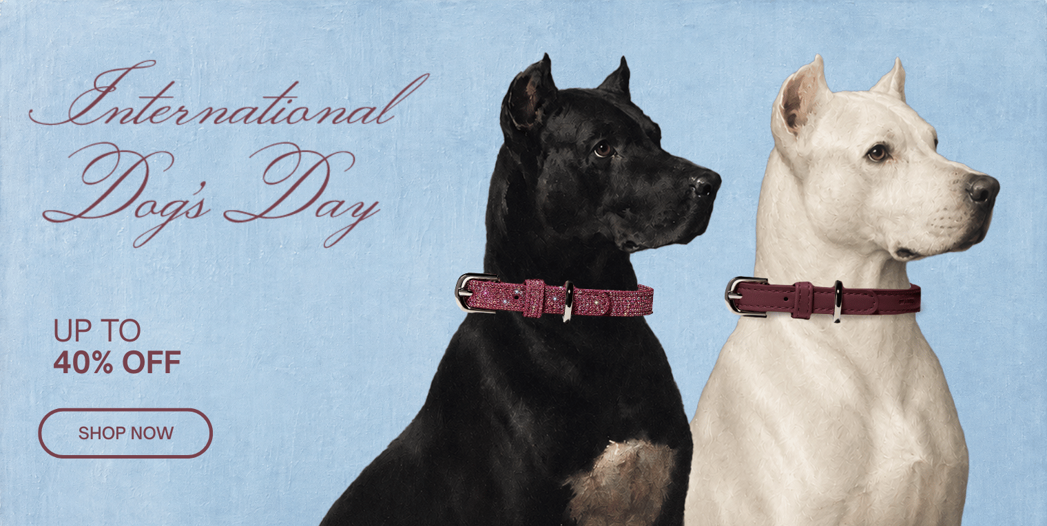 International Dog Day Sale ST ARGO
