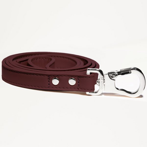 Burgundy leather dog leash with Silver clip on a white background