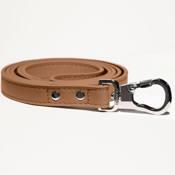 Brown leather dog leash with silver clip on a white background