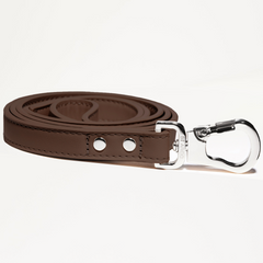 Cocoa Brown leather dog leash with silver clip on a white background