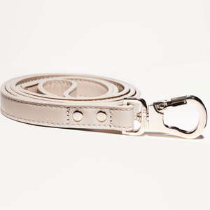 Beige leather dog leash with silver clip on a white background