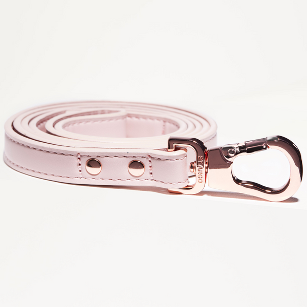 Pink dog leash with rose gold hardware on a white background