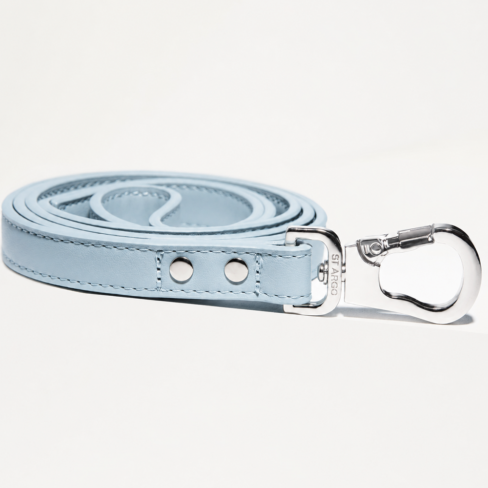 Dog Lead Powder Blue