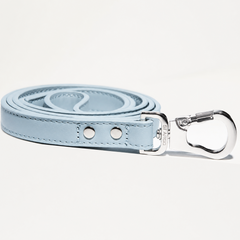 Dog Lead Powder Blue