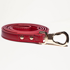 Red leather dog leash with gold hardware on a white background
