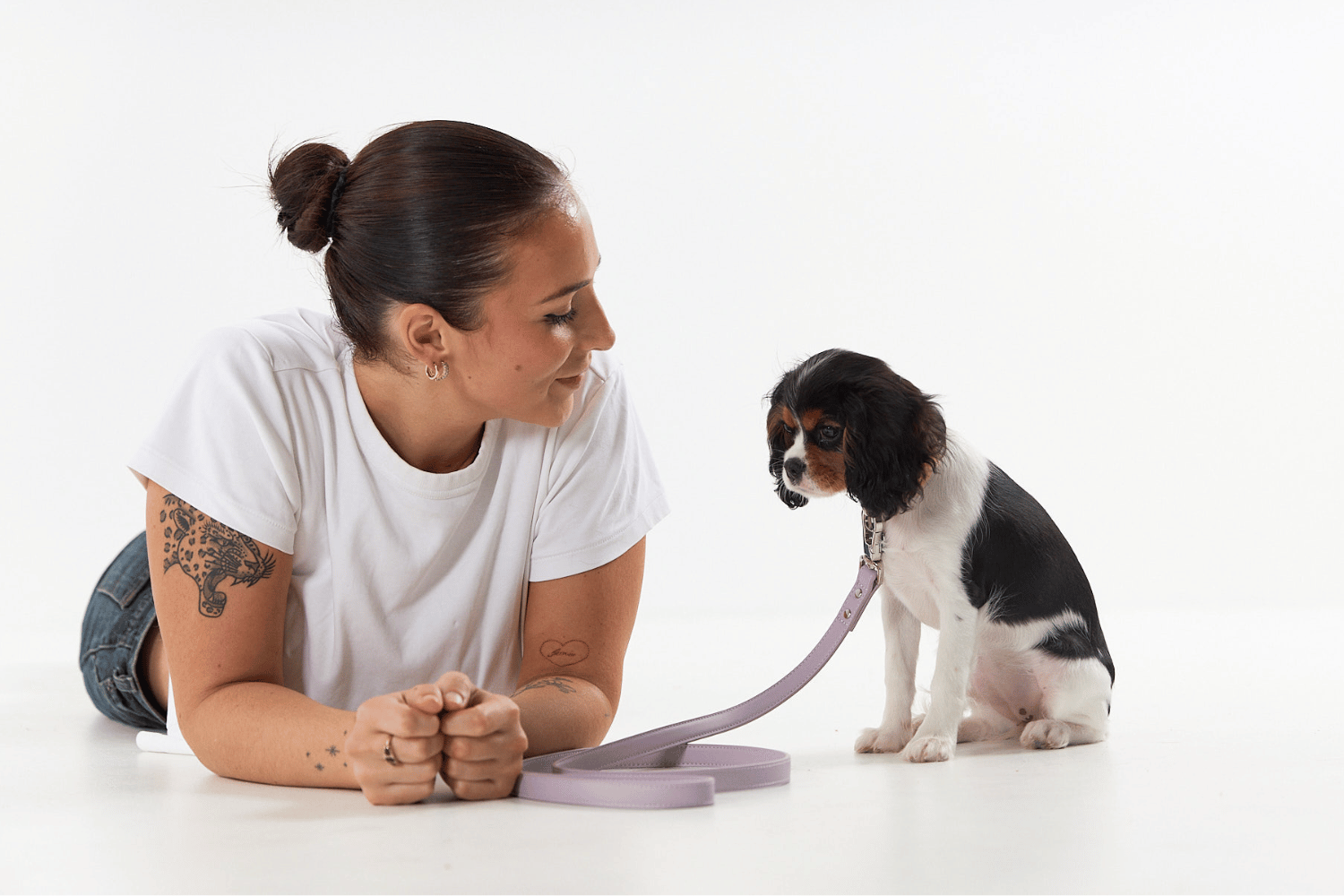 Lilac Dog Collar & Lead