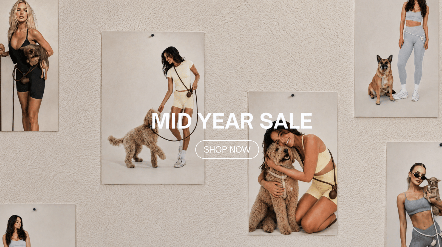 Mid Year Sale ST ARGO Dog Products