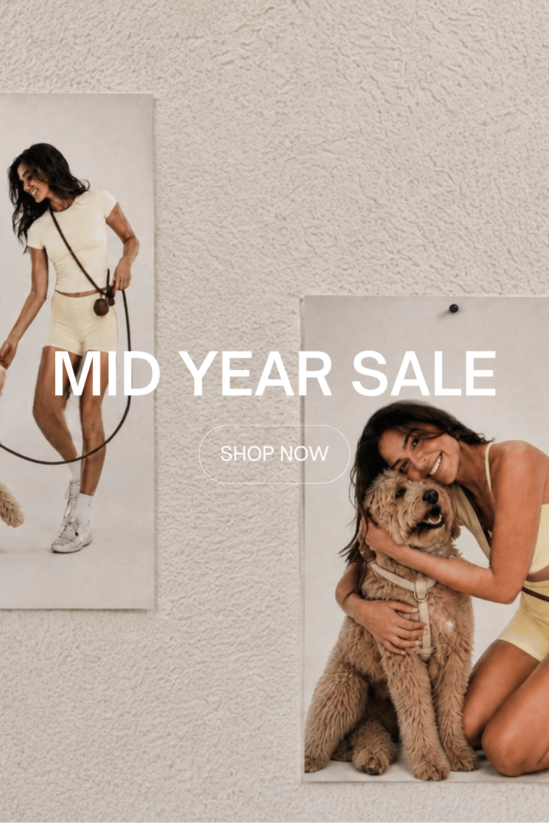 Mid Year Sale ST ARGO Dog Products
