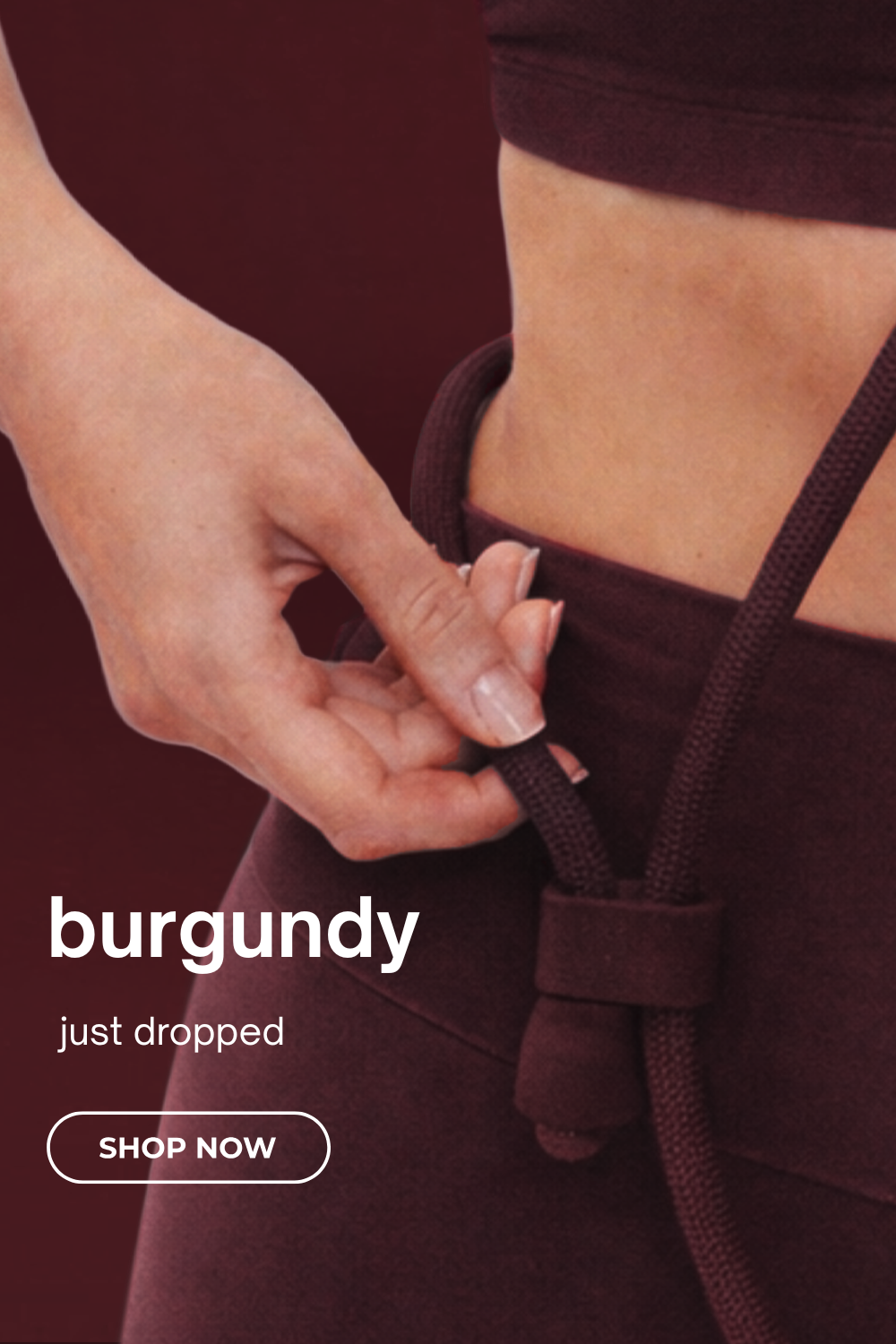 Burgundy Dog Products Collection Mobile Banner