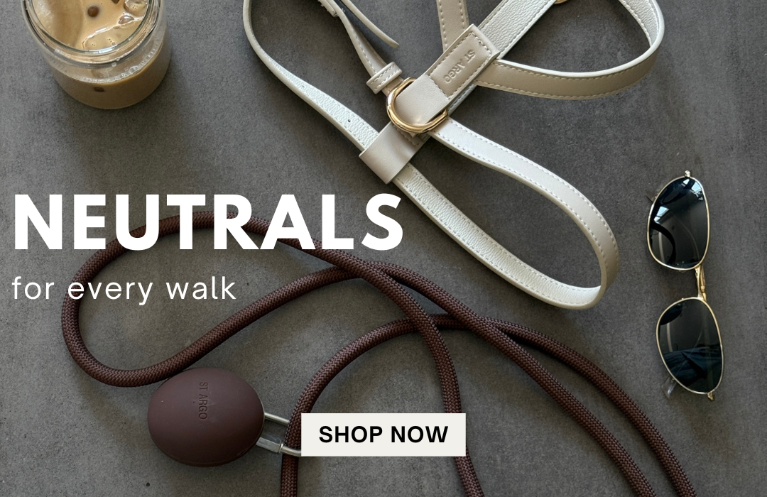 Neutral Dog Walk Essentials