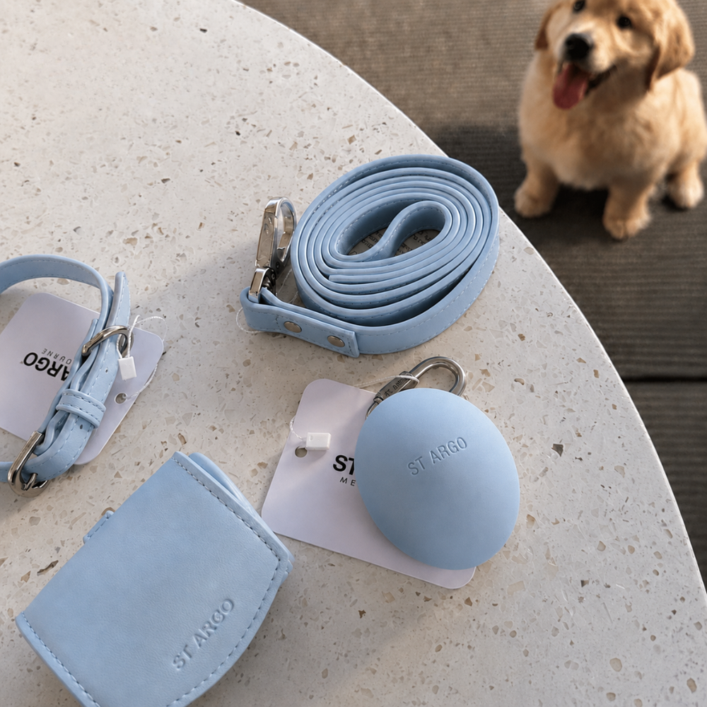 Powder Blue Dog Collar Walk Set