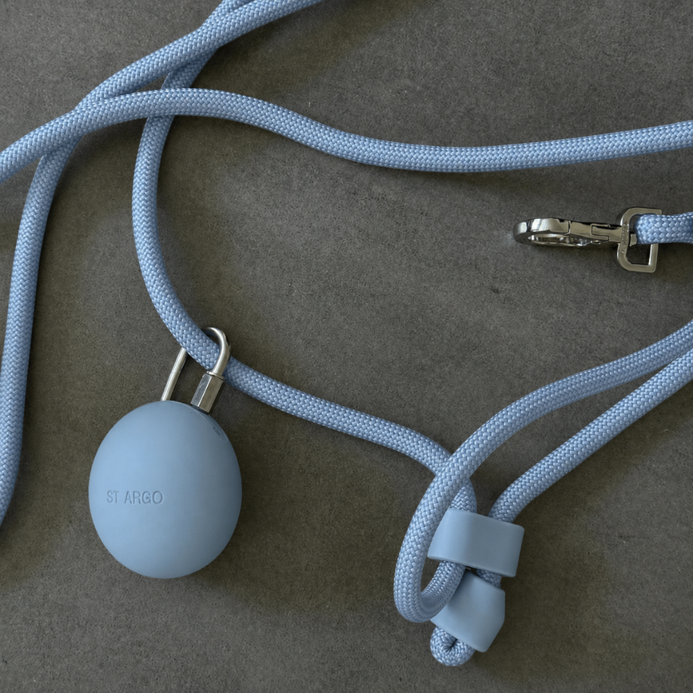 Powder Blue Treat Pouch