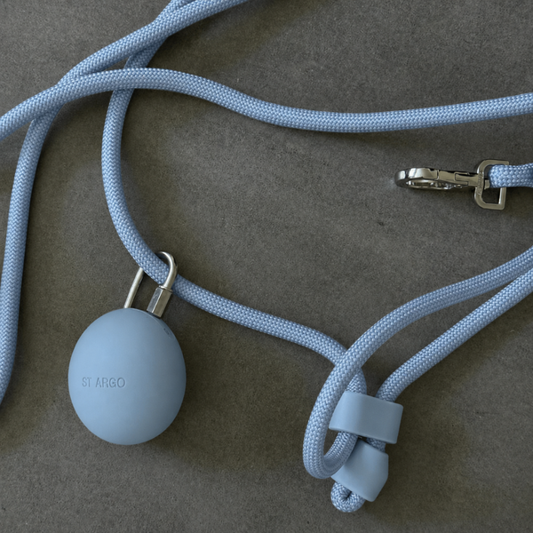 Powder Blue Treat Pouch