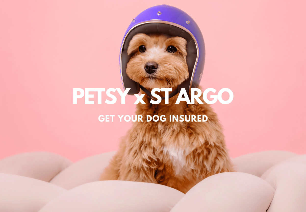 Petsy & ST ARGO pet insurance